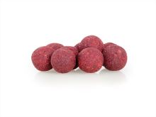 Sportcarp Tvrdené Boilies Hard Ons Mulberry Garlic (2)