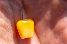 Preston Innovations Háčiky Natural N-60 (4)