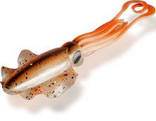 Black Cat Podvodný plavák Calamar U-Float Natural 20 g