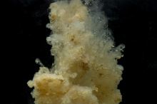 Sticky Baits Manilla Active Mix Method Mix (2)