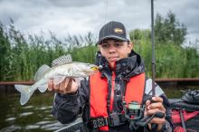 Fox Rage Gumová Nástraha Loaded Slick Shad UV Arkansas Shiner (3)