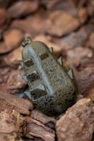 Nash Olovo Dumpy Gripper Swivel Lead (5)