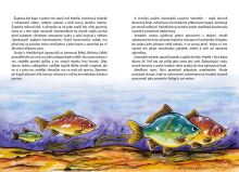 Kniha Kaprík Metlík a nádej (2)