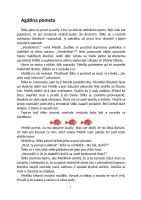 Kniha Kaprík Metlík útek (1)