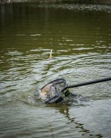 Matrix Plavák Foam Pellet Waggler (7)