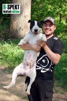 R-SPEKT Tričko Carper čierne (7)