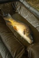 Fox Podložka Carpmaster Welded Cradle (24)