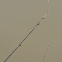 Korum Prút Phase 1 Feeder Rod 11 ft (8)