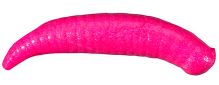 Berkley Gumová Nástraha Červ Floating Pinched Crawler Gulp 2,5 cm 14 ks (1)