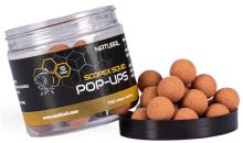 Nash Plávajúce Boilie Pop Ups Scopex Squid Natural 75 g Nash Plávajúce Boilie Pop Ups Scopex Squid Natural 75 g
