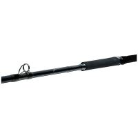 Daiwa Prút Tanacom Ultra Deep 2,1 m 400-1000 g (1)