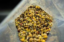 My-Baits Partikel Party Mix "High Impact" 2 l (4)