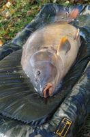 Prologic Podložka Avenger Pro Beanie Unhooking Mat 135x90 cm (3)