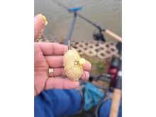 FeederBait Washed Out Wafters 9 mm (2)