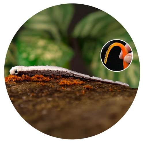 Redbass Smáčik Big Snake Brown/Silver