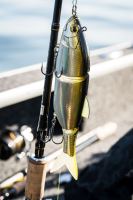 Shimano Wobler Yasei Soul Swim Suspending Green Tiger (5)