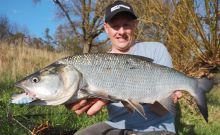 Savage Gear Fat Tail Spin Sinking Lemon Back Flash (2)