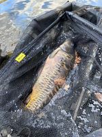 Fencl Kaprový Podberák Carp Classic Pogumovaná Sieť 105 cm 42" 3 m Tyč + Obal (10)