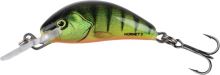 Salmo Wobler Hornet Sinking Hot Perch - 2,5 cm 2,4 g