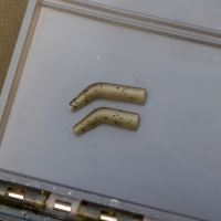 Avid Carp Rovnátka Outline FleckTone Kickers (4)