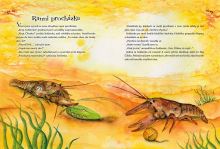 Kniha Rak Čilirak a Americká Kreveta (2)