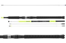 Daiwa Prút Sealine X´treme 2,25 m 100-250 g 2-Diel (1)