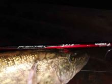 Sportex Prút Phenomen Spin 2,4 m 21-51 g (5)