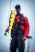 Fox Rage Gumová Nástraha Zander Pro Shad Loaded UV Natural Perch (8)