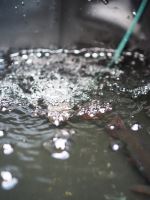 Madcat Foldable Live Bait Bucket 50l (10)