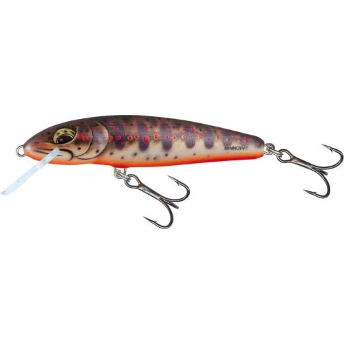 Salmo Wobler Minnow Floating Freshwater Minnow