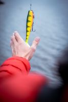 Fox Rage Gumová Nástraha Zander Pro Shad Loaded UV Silver Halo (10)