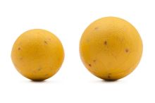 Korda Plastic Wafter Slow-Sinking Boilie Essential Cell (2)