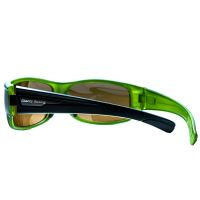 Giants Fishing Polarizačné Okuliare Polarized Glasses Gaube (2)