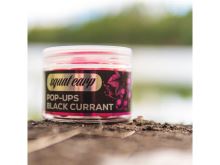 Squat Carp Plávajúce Boilies Pop-Up BlackCurrant 60 g (5)