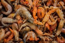 My-Baits Partikel Macromix "Krill to Thrill" 3 l (4)