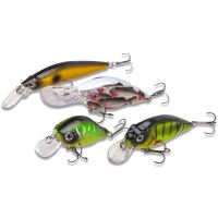 Saenger Set Woblerov Perch 2 (1)