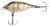 Fox Rage Wobler Funk Bug SR UV Striped Shiner 4 cm 4 g