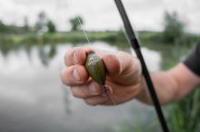 Korum Plavák Glide Stubba (6)