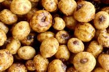 Mivardi Tigrí Orech (3)