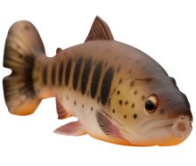 Savage Gear Gumová Nástraha 3D Craft Trout Pulsetail Perch (1)