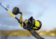 Black Cat Multiplikátor Battle Cat Vertical (8)