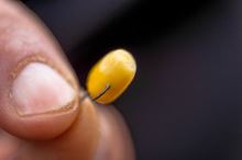 Preston Innovations Háčiky XS02-B Hooks (7)