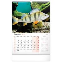 PGCZ Nástenný Kalendár Rybársky 2025 CZ 33×46 cm / CZ (6)