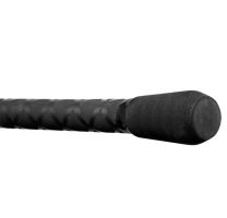 Delphin Prút Partisan Carp 3,6 m 3,5 lb /2 diel/ (3)