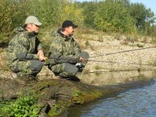 Geoff Anderson Bunda Dozer 4 Leaf (6)