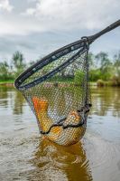 Preston Innovations Podberáková Hlava Monster XS Lift Net (3)