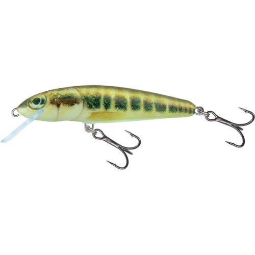 Salmo Wobler Minnow Floating Minnow