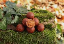 Mivardi Boilies Rapid Platinum ProActive B17 (2)