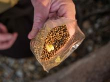 Giants Fishing PVA Sáčky Bags 10 ks (5)