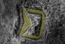 Delphin Baranica Boyar (5)